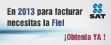 Firma Electrónica Avanzada